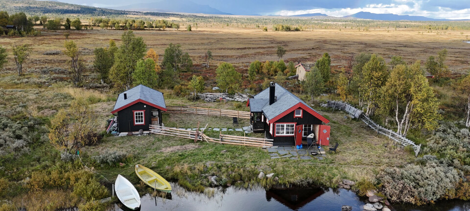 Røyefiske i Norge: Tips og Destinasjoner