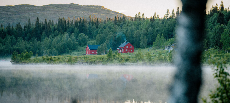 Røyefiske i Norge: Tips og Destinasjoner