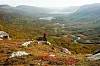 Rypejeger på en fjellrygg med utsikt over høstfargede Orvassdalen og Orvasselva.