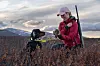 Kvinnelig jeger i rød jakke med lirype og hund i fjellterreng på Saltfjellet.